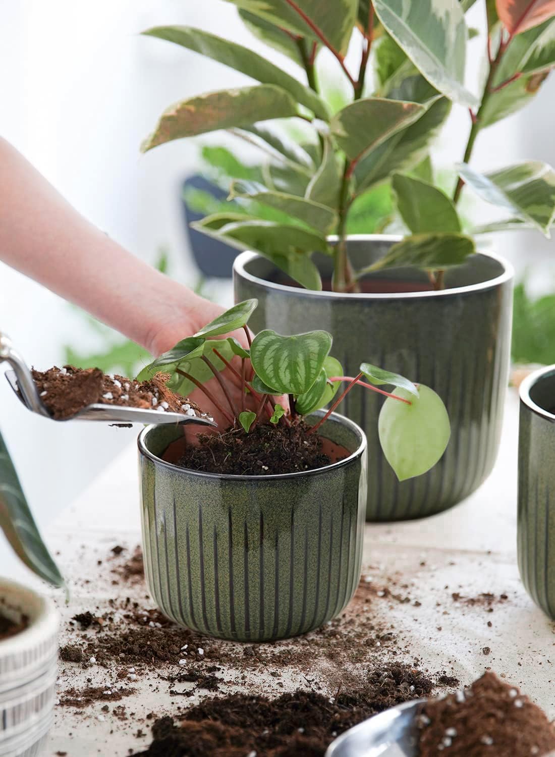 LE TAUCI Fluted Ceramic Planters Set of 3 – 8.3/7 / 5.7 in Dark Olive Reactive Cylinder Indoor Plant Pots with Drainage Plug & Mesh, Glossy Stoneware Flower Pots for Succulents Herbs