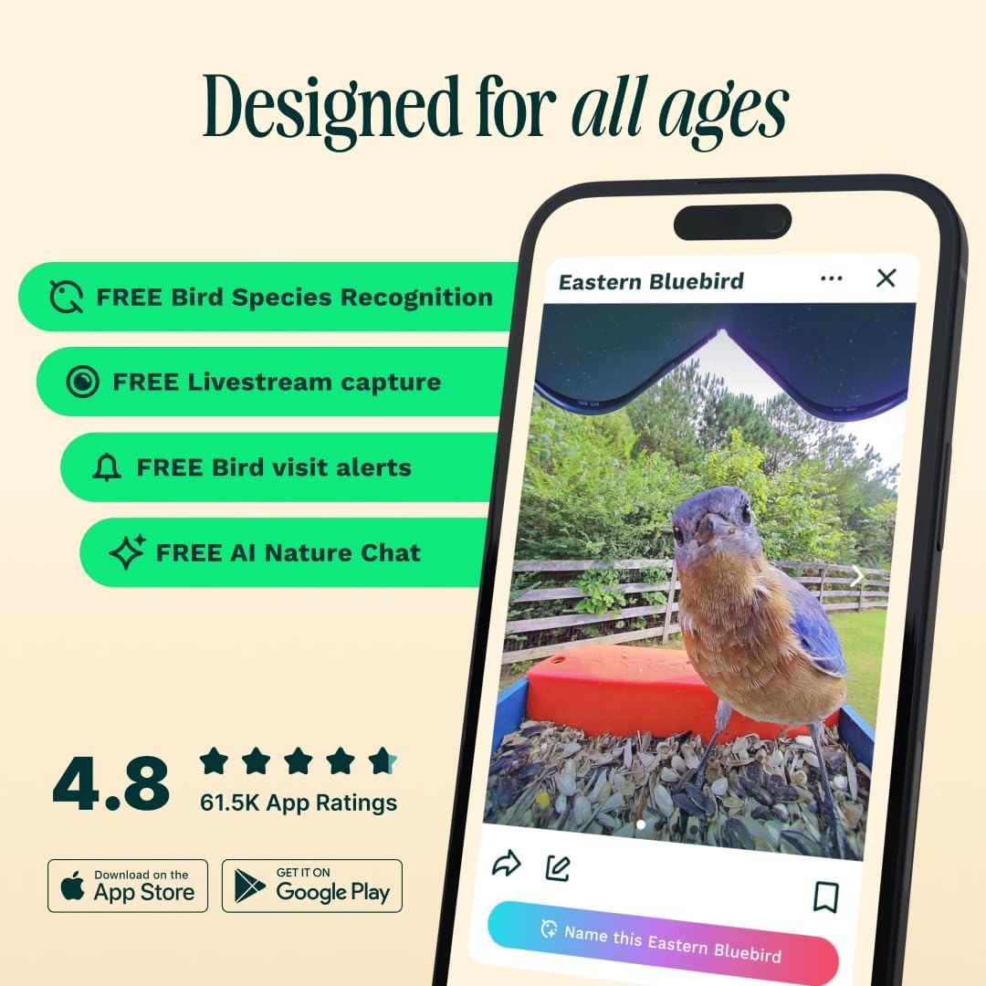 Birdbuddy PRO Solar Smart Bird Feeder with Camera - AI Bird Species Identification, 5MP Photos, 2K HD Video Live Stream Camera, Slow-Motion Video, 2.6in Focus - Blue Solar