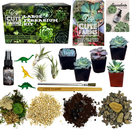 Cute Farms Terrarium Starter Kit | Moss, Vermiculite, Soil, Pebbles, Plant Food, & Finishing Tools (Large + 8 Live Plants)