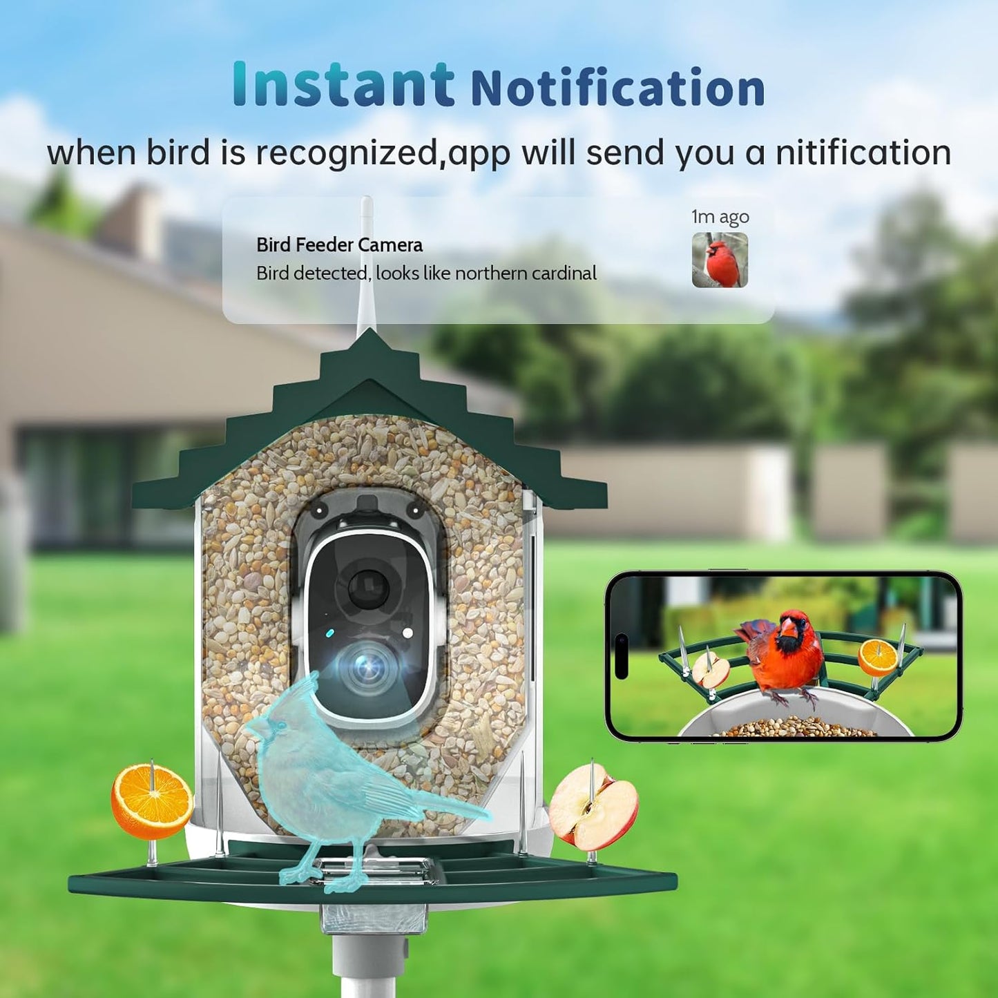 Smart Bird Feeder with Camera Solar Powered & AI Bi rd Identification, 2.4Ghz WiFi Bird feeders for Outdoors, 2K Live Video, Nstant Arrival Alerts - Best Gifts for Bi rd Lovers - Green