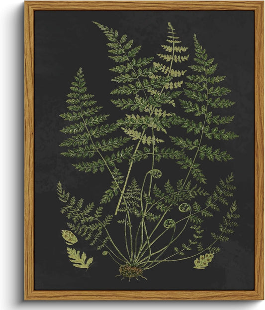 VIYYIEA Framed Canvas Wall Art Home Decor Minimalist Botanical Print Boho Pictures for Rustic Vintage Farmhouse Artwork Bedroom Bathroom House Decor Kitchen Wall Decor 8x10in 8x10in