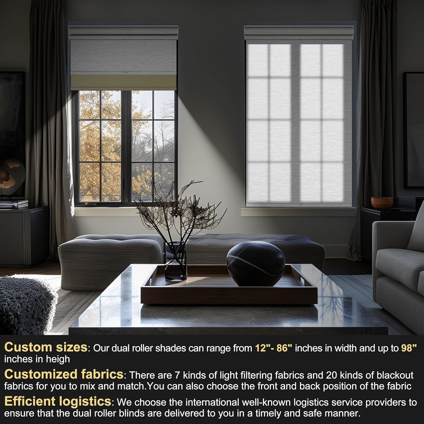 BERISSA Cordless Dual Roller Shades With Cassette Valance, Blackout and Light Filtering, Day and Night for Home Office Door - Beige and White, 64 W x 64" H