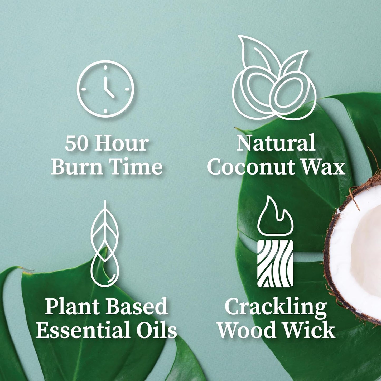 Hemlock Park Wood Wick Candle Handcrafted with Natural Coconut Wax and Essential Oils (Amber & Gold 7.2 oz, Smoked Palo Santo)