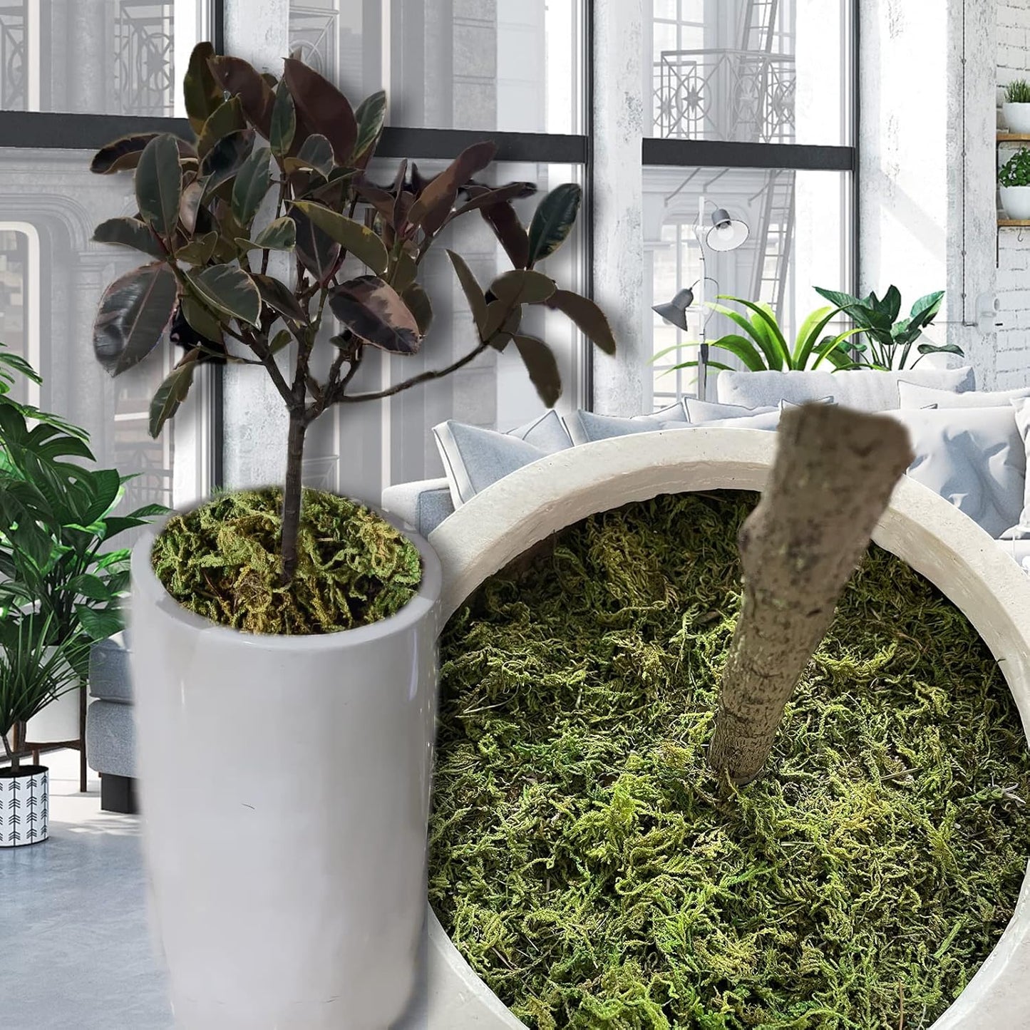 35 OZ Fake Moss for Potted Plants Artificial Moss for Fake Plants Faux Moss for Planters Decorative Moss for Craft and Home Decor…