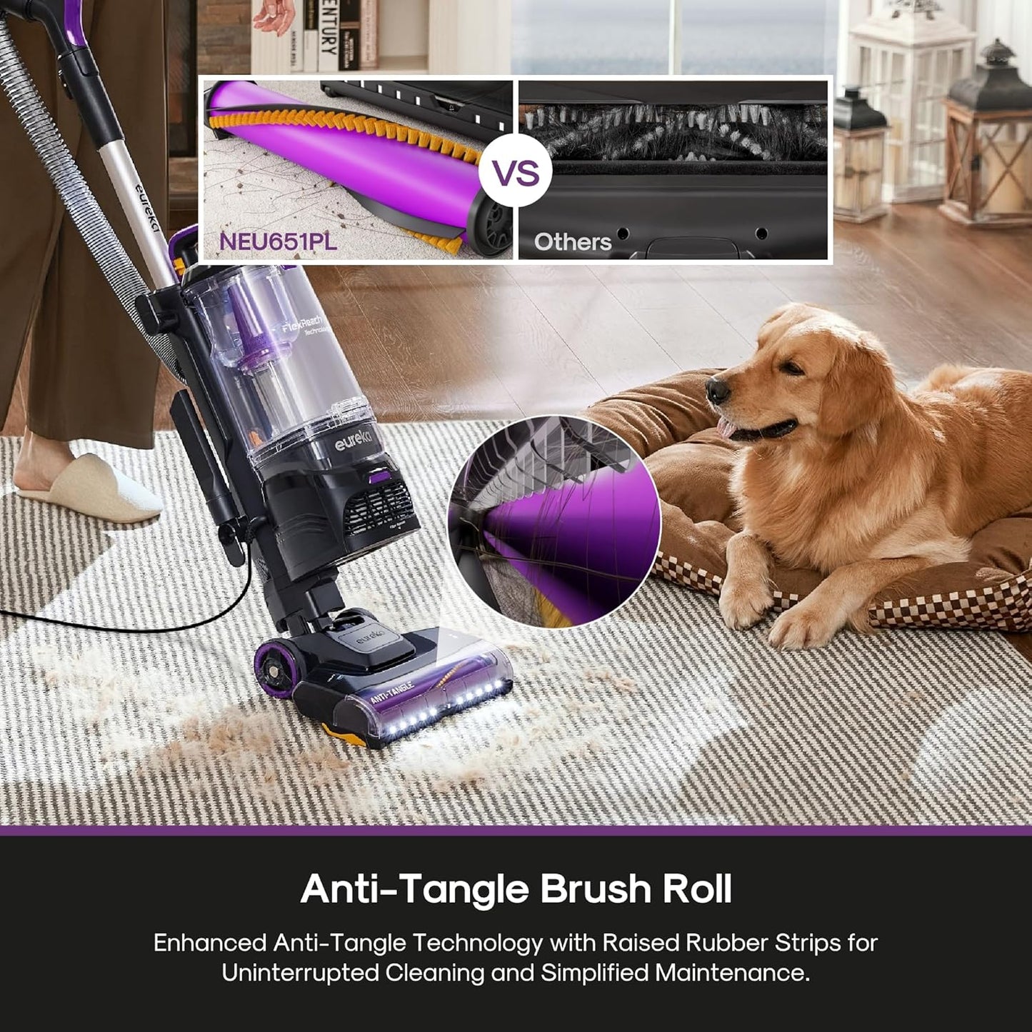 Eureka FlexReach Powerful Upright Vacuum Cleaner for Carpet and Hard Floor, Lift-Away Vacuum with Large Dust Cup, Anti-Tangle, NEU651PL, Purple